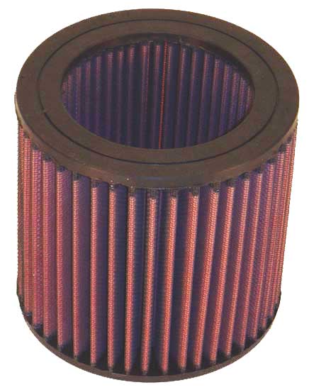 Image of E-2455 Replacement Air Filter