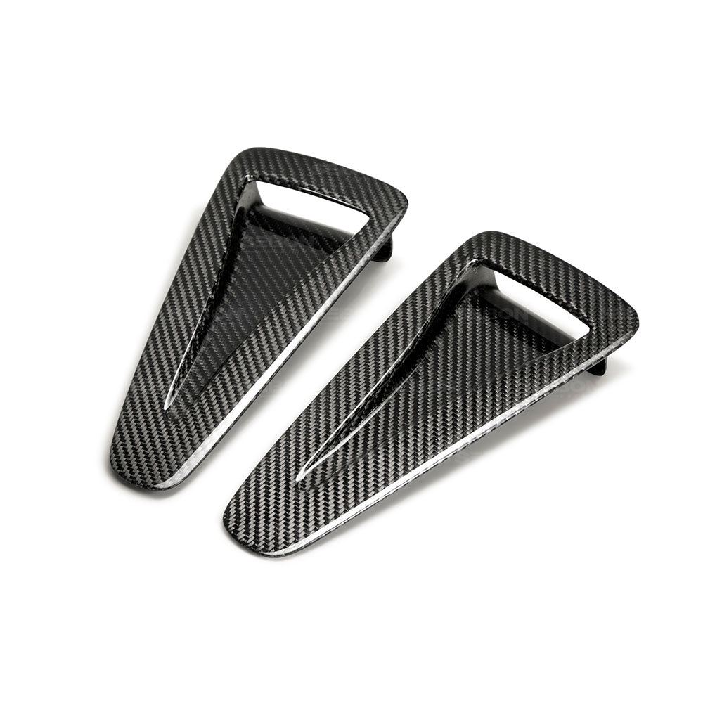 Image of Nissan Skyline R35 GTR 08+ Seibon OEM Carbon Hoodscoop