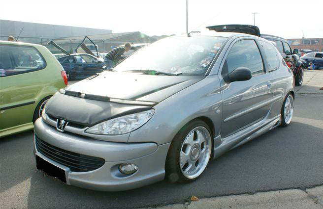 Peugeot 206 99-05 Skai Carbra/Stoneguard