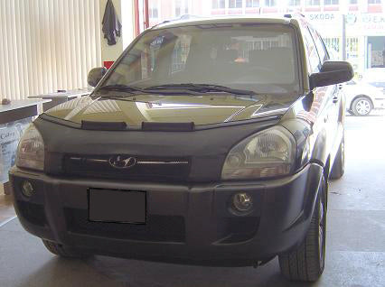 Image of Hyundai Tucson 06-08 Skai Carbra/Stoneguard