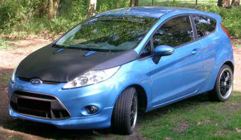 Image of Ford FiÃ«sta VII 08+ Skai Carbra/Stoneguard