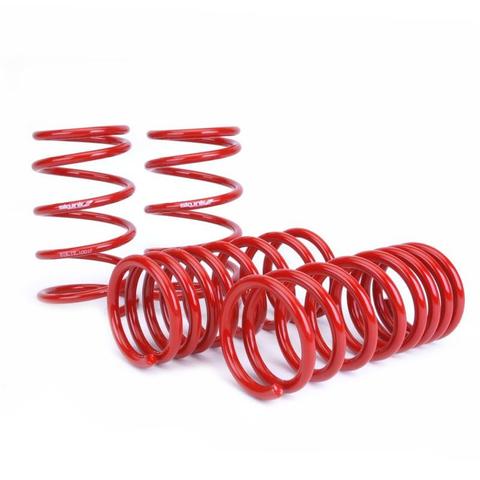 Image of Honda Civic 01-05 3D Lowering Springs 5/6cm Skunk2